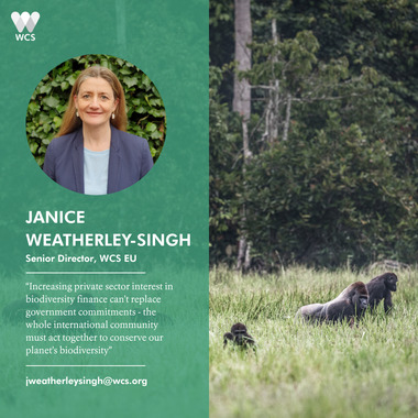 WCS CBD COP17 Quote Cards - Janice Weatherley-Singh
